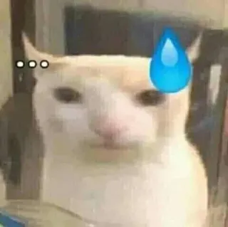 🫠 gatto, sudore, meme, confuso telegram sticker