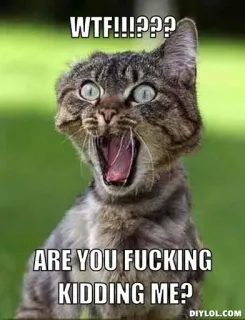 😰 WTF!!!??
ARE YOU FUCKING
KIDDING ME? 猫, ミーム, 衝撃, 面白い, wtf, 不快, 動物 telegram sticker