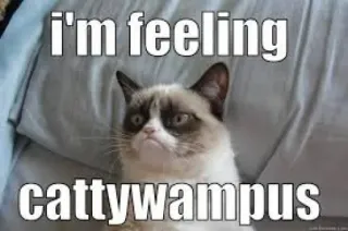 😂 Grumpy Cat I'm feeling cattywampus 猫, 脾气暴躁, 搞笑, 表情包, 歪斜, 幽默, 表情 whatsapp sticker