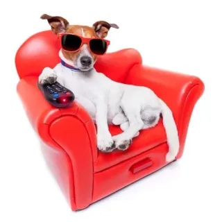собаки нахуй telegram stickers