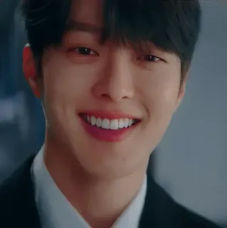 🦊 hombre, sonrisa, retrato, persona, cara, feliz, coreano, actor telegram sticker