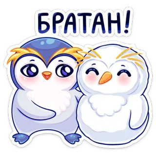 💑 БРАТАН! пингвин, сова, мультфильм, милый, друг, стикер whatsapp sticker