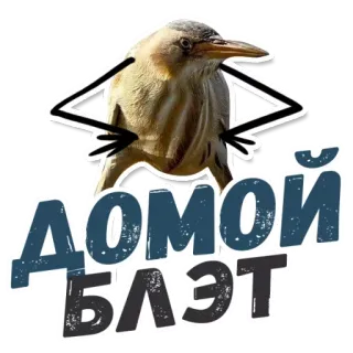 🏠 ДОМОЙ
БЛЭТ 鸟, 贴纸, 俄语, 文本, 西里尔文 telegram sticker