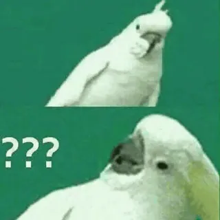 🤔 ??? オウム, 質問, 混乱, 鳥, オカメインコ telegram sticker