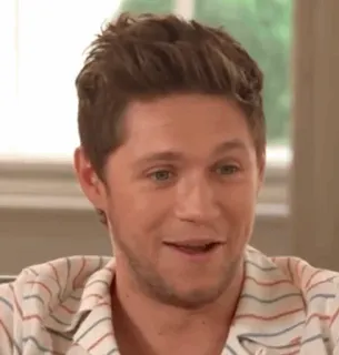 🎸 Niall Horan niall horan, one direction, cantor, celebridade, pop star telegram sticker