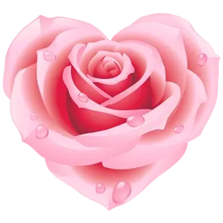 💛 rose, heart, flower, pink, love, romance, valentines, floral telegram sticker