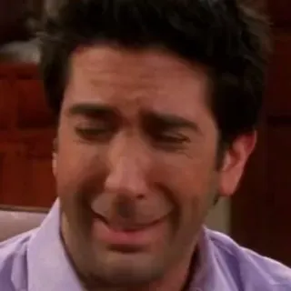 😭 Ross Geller Friends tv show, sitcom, comedy, ross geller, friends telegram sticker
