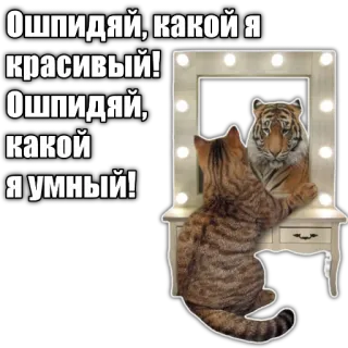 👌 Ошпидяй, какой я красивый!
Ошпидяй, какой я умный! cat, tiger, mirror, animal, funny, reflection telegram sticker