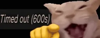 🤣 Timed out (600s) cat, meme, timeout, funny, laughing, pointing, internet telegram sticker