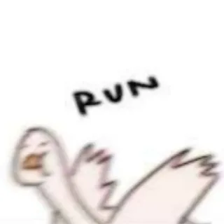 🦢 RUN canard, course, mème, drôle, effrayé whatsapp sticker