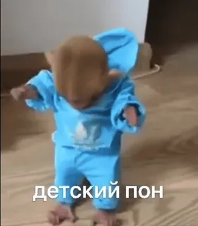 🌟 детский пон bebê, criança, roupa, Adidas, dança whatsapp sticker