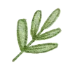 🌿