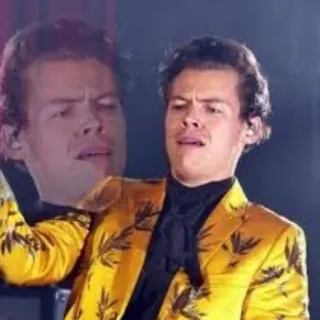 ❔ Harry Styles singer, funny, reaction, confused, celebrity, meme telegram sticker