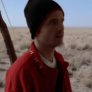 🚬 Jesse Pinkman Breaking Bad jesse pinkman, breaking bad, aaron paul, desert, reactions telegram sticker