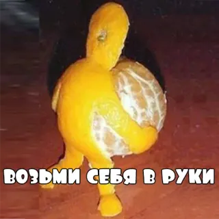 🍊 возьми себя в руки оранжевый, фрукт, идиома, русский, взять себя в руки telegram sticker