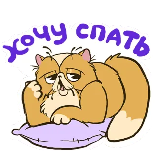 😍 Хочу спать gatto, dormire, stanco, pigro, cuscino, gatto cartone animato telegram sticker