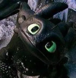 🌟 Toothless How to Train Your Dragon dragón, dibujos animados, animal, lindo, película, animación telegram sticker