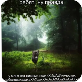 🤣 ребят, ну правда
у меня нет никаких психихИхИхИиических заболевахахахахАХахАхАхАХАхААхАхА cat, forest, meme, funny, humor, text, russian whatsapp sticker