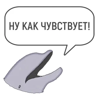 ❤️ НУ КАК ЧУВСТВУЕТ! delfín, bocadillo, animal, mono, mamífero whatsapp sticker