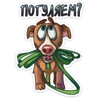 🙂 ПОГУЛЯЕМ? anjing, hewan peliharaan, jalan-jalan, kartun, binatang, anak anjing telegram sticker