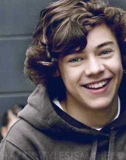 😀 Harry Styles stylesism harry styles, singer, one direction, celebrity, portrait, smiling, person telegram sticker