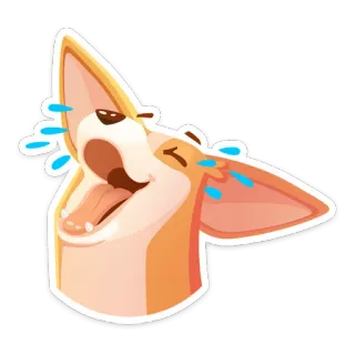 😭 corgi, cachorro, chorando, rindo, emoji, adesivo whatsapp sticker