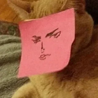 🐈 chat, autocollant, visage, dessin, post-it, drôle, gribouillage whatsapp sticker