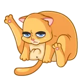 😂 gato, gato naranja, animal, lindo, pegatina whatsapp sticker