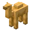 🐪