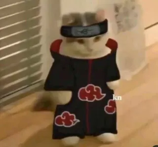 🙊 Naruto кот, Акацуки, Наруто, аниме, манга, косплей telegram sticker