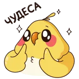 🤩 uccello, emoji, adesivo, carino, dito medio, offensivo whatsapp sticker