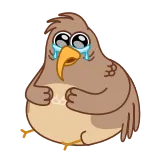 Sharp-eyed Falcon telegram stickers