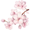 🌸