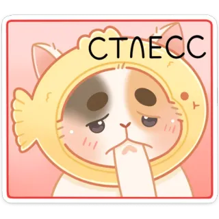 ☹️ СТРЕСС gato, estrés, triste, animal, ruso, sombrero whatsapp sticker