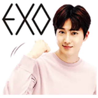 🙂 EXO kpop, exo, música, cantor, boy band, coreano telegram sticker