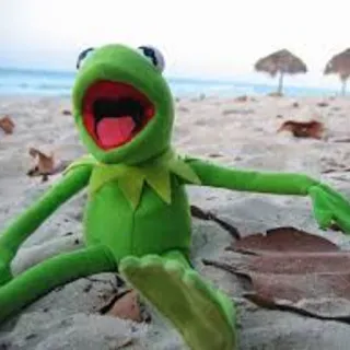 😎 Kermit 커밋, 머펫, 해변, 개구리, 인형, 초록 telegram sticker