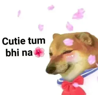 🙈 Cutie tum bhi na 犬, かわいい, 花, インド, ヒンディー語, ミーム, ドージ telegram sticker
