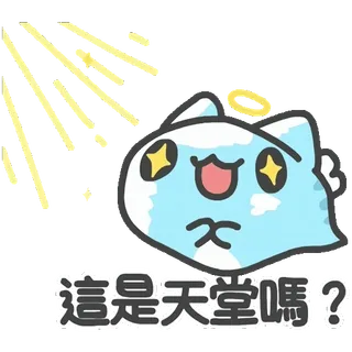 🙏 這是天堂嗎? cute, cat, angel, heaven, kawaii telegram sticker