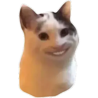 👍 แมว, มีม, ยิ้ม, สัตว์ telegram sticker