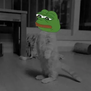 😐 Pepe the Frog Pepe, meme, frog, cat, internet culture telegram sticker