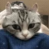 🤗