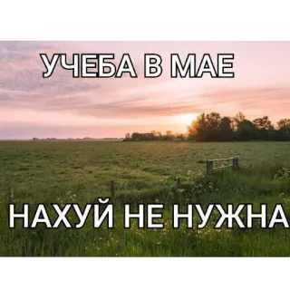 🌌 УЧЕБА В МАЕ
НАХУЙ НЕ НУЖНА 러시아어, 텍스트, 필드, 자연, 불쾌한 telegram sticker