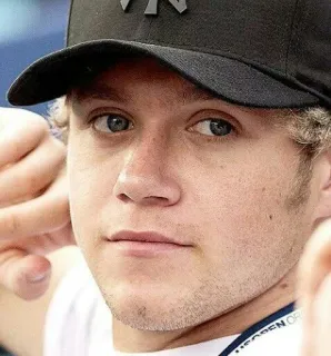 👀 Niall Horan Niall Horan, One Direction, cantante, retrato, músico telegram sticker