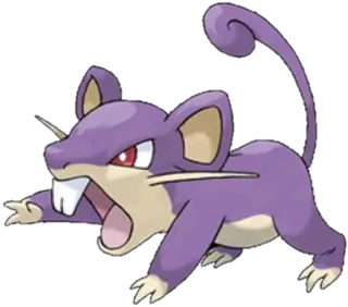 🔵 Raticate Pokemon pokemon, raticate, jeu, animé, monstre telegram sticker