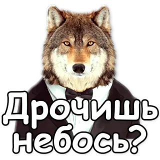 🙌 Дрочишь небось? loup, costume, texte, animal, offensant, humour telegram sticker