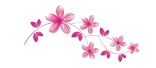 🌿 花, 粉色, 花卉, 树枝, 叶子 telegram sticker