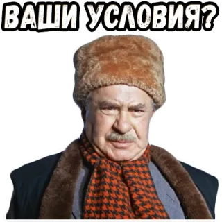 🥺 ВАШИ УСЛОВИЯ? portrait, winter hat, scarf, man, russian, serious, fur hat telegram sticker
