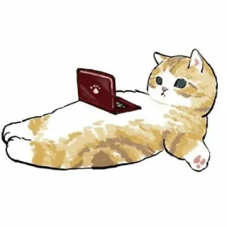😀 gatto, laptop, animale, carino, adesivo, cartone animato, gattino, digitale telegram sticker