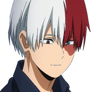 🙂 Shoto Todoroki My Hero Academia Anime, Manga, Shoto Todoroki, My Hero Academia, Charakter telegram sticker