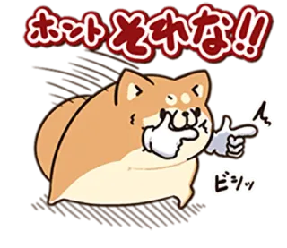 🐶 ホットそれな!! Hund, Shiba Inu, süß, Tier, Meme, lustig, Cartoon telegram sticker